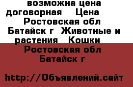  возможна цена договорная  › Цена ­ 500 - Ростовская обл., Батайск г. Животные и растения » Кошки   . Ростовская обл.,Батайск г.